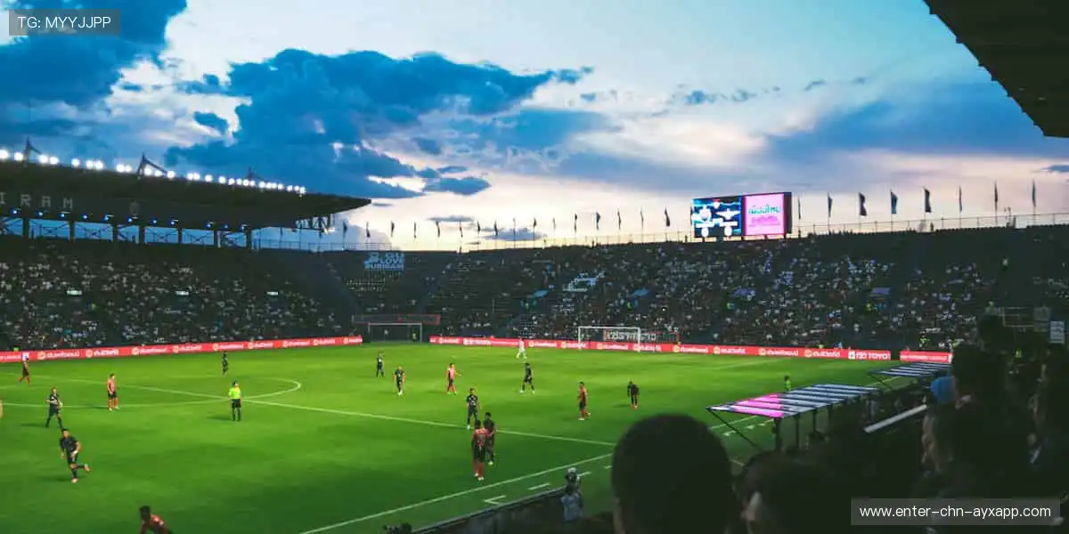 💻互动弹幕，让热爱不再孤单！