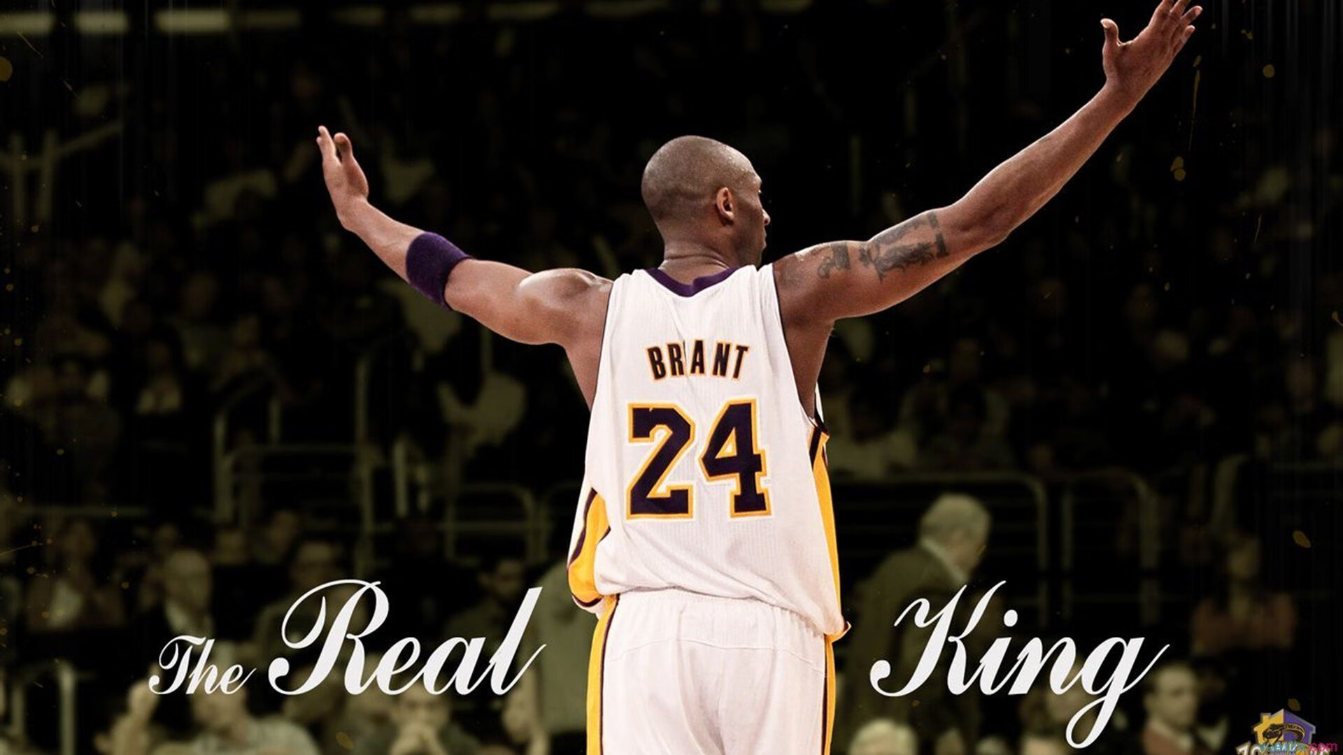 _经典战役:跨年度精彩回放_,经典战役628